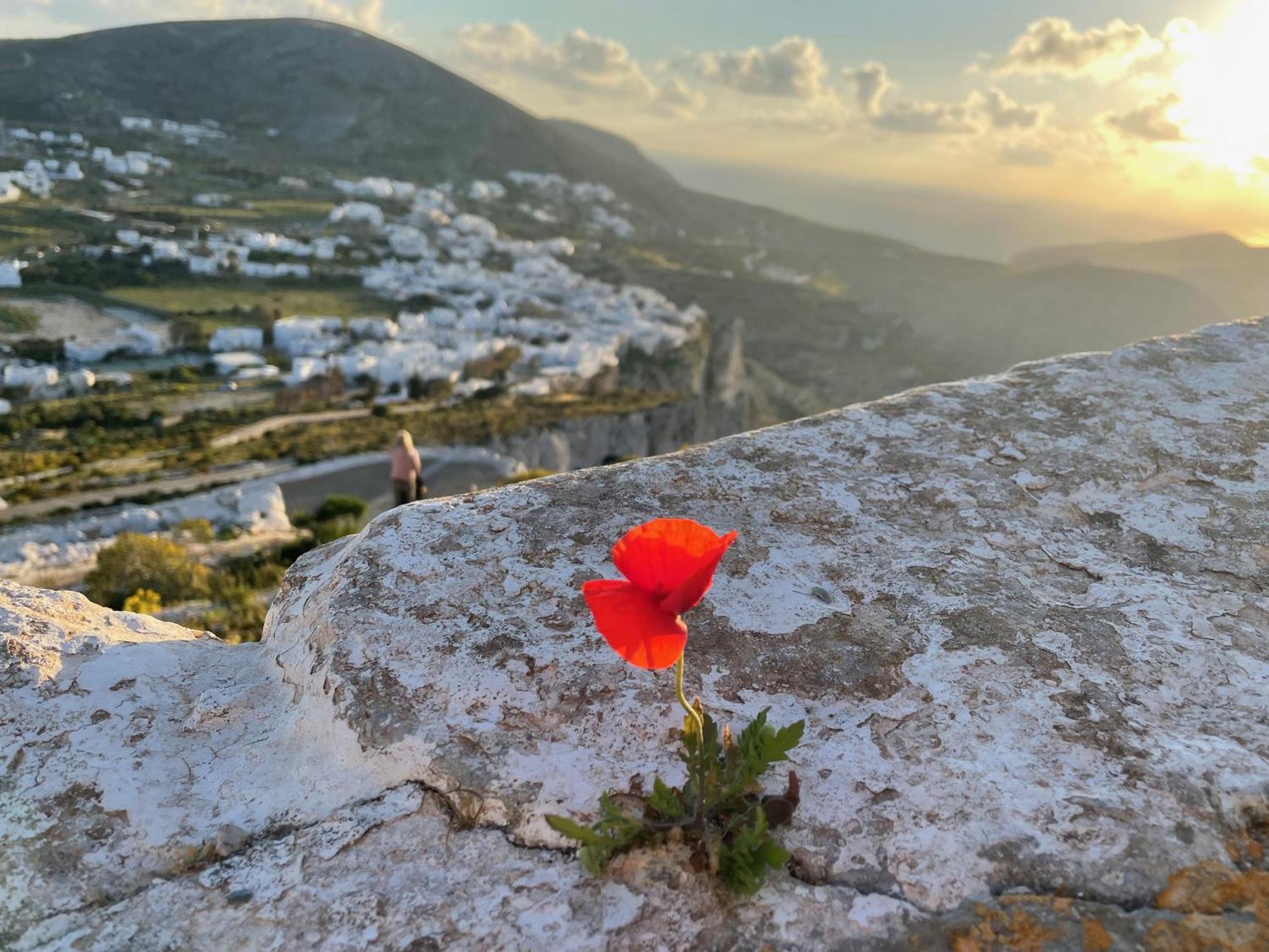 Folegandros-Cliffhouse Βίλα Εξωτερικό φωτογραφία